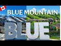 Blue Mountain, Ontario - A First Timer's Guide