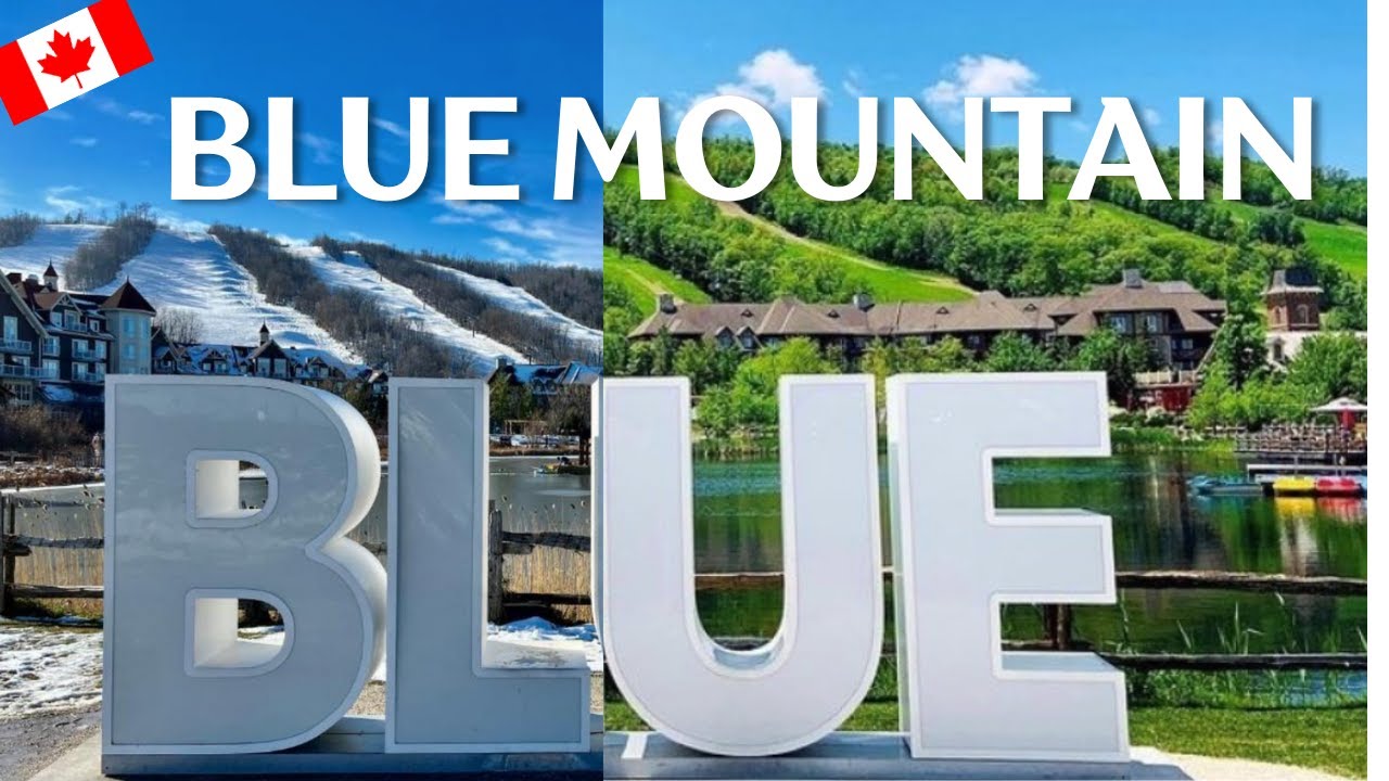 Best Hiking Boots Australia: Complete Guide for Blue Mountains Adventures! 🥾