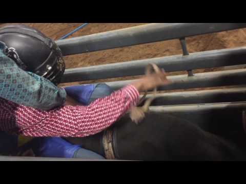Anthony Lyons bull rider