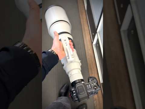 Absolute Canon #Canon #600mm #Telephoto #CanonR3 #EOSR3 #Shorts #Lens #BigLens #Tele #Supertelephoto