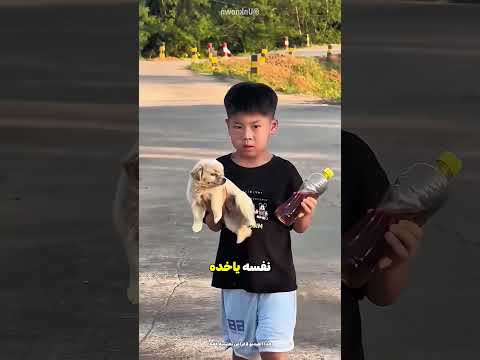 لقد حصل أخيرًا على هديته للكلب #shorts