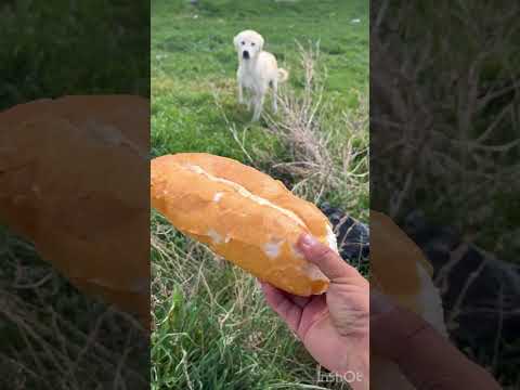 Düne ait 🤗dün çok yoğundu paylaşım yapamadım ❤️