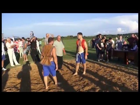 niko kutsia qartuli chidaoba