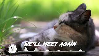 Download lagu We'll Meet Again - Chill mix 2022 // ACM chill mix song / music tiktok viral 2022 mp3 Download lagu We'll Meet Again - Chill mix 2022 // ACM chill mix song / music tiktok viral 2022 mp3