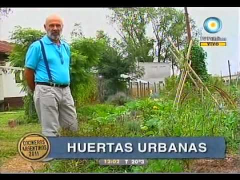 Huerta urbana