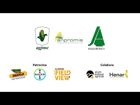 Fotograma del vídeo: El cultivo del maíz, ejemplo de rentabilidad económica y medioambiental.