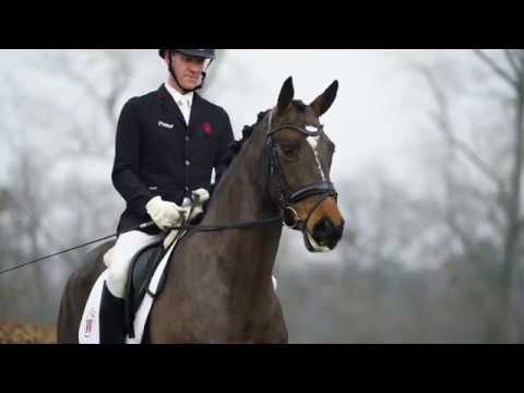 20 Double Happiness Stute v. Diatano - Laudabilis