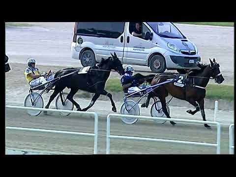 Napoli Trotto 04/06/2022 - 5ª corsa