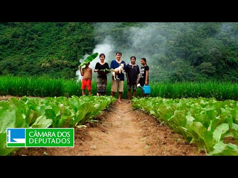 Proposta prevê seguro-desemprego a agricultores em vulnerabilidade - 23/09/2024