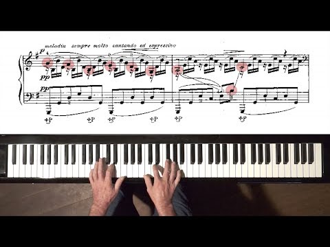 Saint-Saëns "The Swan" PIANO (A. Siloti) + Free Practice Score