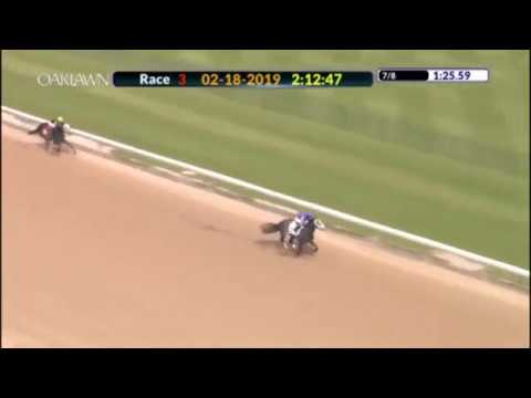 Intrepid Heart - a serious Derby contender or another Coliseum?