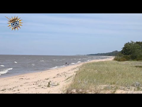 Todo Uruguay | Costa del inmigrante: Britópolis y Fomento