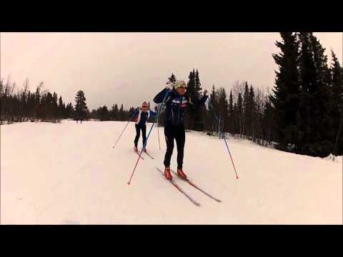 BSK Elite sesongen 2015-16