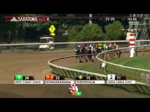 Wavell Avenue - 2016 Shine Again