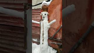 Making snowman in kashmir #shorts