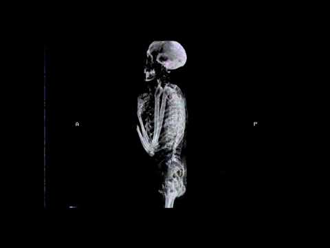 vowl. x niteboi x brothel - phantom