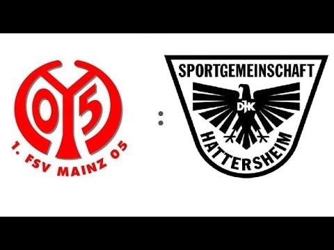 1. FSV Mainz 05 U10 vs. SG DJK Hattersheim U10 2:0, FINALE Polar-Mohr-Cup 2014 in Hofheim/Ts.