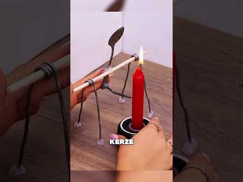 Ein cleverer Trick, um Kerzen zu sparen #tiere #shorts