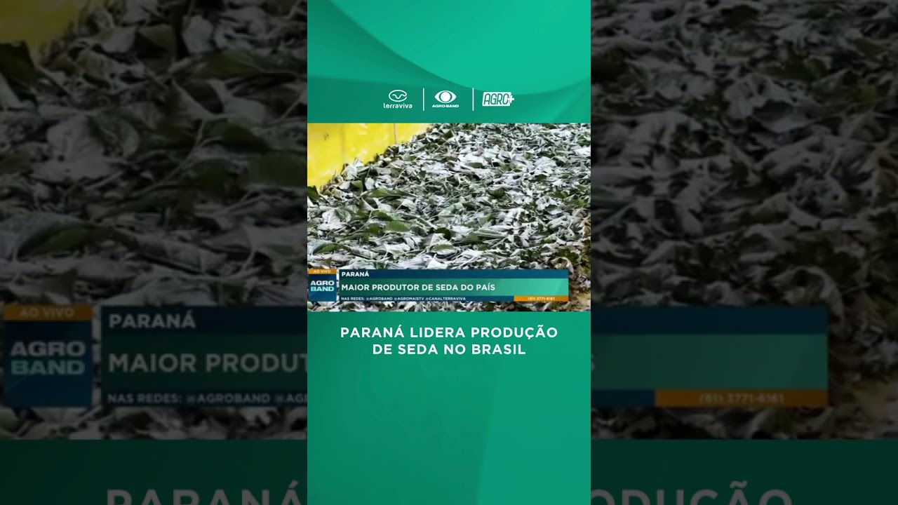 Fazenda do bicho-da-seda no Paraná - líder na produção