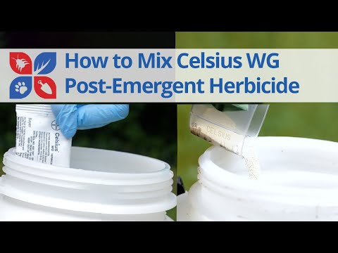  How to Mix Celsius WG Video 