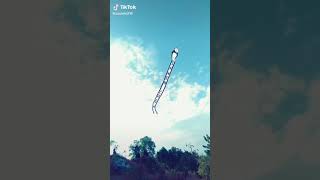 Download lagu Sawen crew 86 mp3