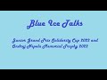 Blue Ice Talks Junior Grand Prix Solidarity Cup 2022 And Ondrej Nepela Memorial Trophy 2022