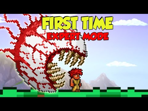I Tried Terraria Expert Mode For The FIRST TIME And It Was PAINFUL