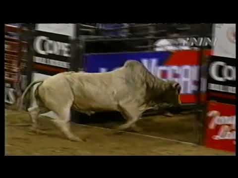 Honker bucks Mike White - 00 PBR Portland