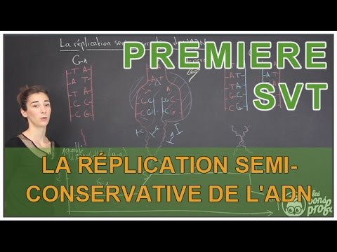pourquoi la svt