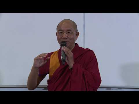 Q&A5. Every Being Is Equal, Including Animals