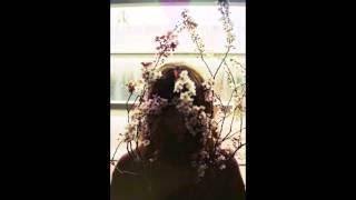 Fantastic Mr. Fox - Yesterday's Fall (ft. Alby Daniels)