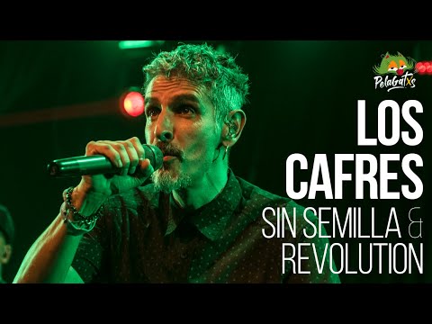 Los Cafres - Sin Semilla & Revolution (Dennis Brown) - Vivo - Reggae en PelaGatos 3/5