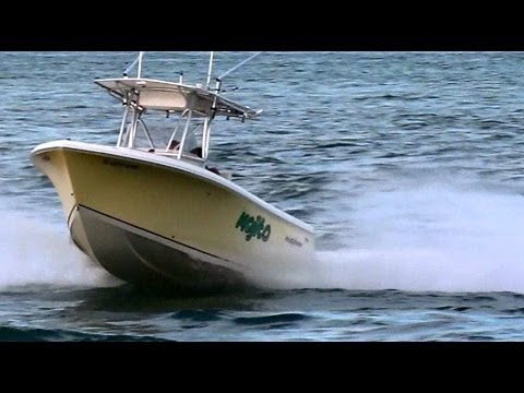 Sailfish 2360 | MOJITO