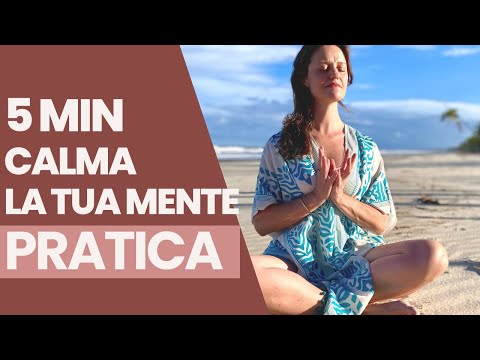 5 min | CALM your mind | Guided mindfulness meditation