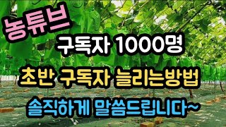 #유튜브수익   #유튜브구독자1000명 #구독자늘리는방법