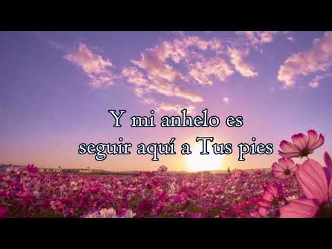 Dulces Moradas