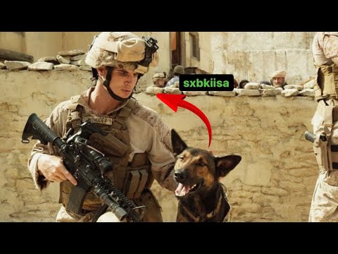 Qiso dhab ah || Eey U aar Guday sxb kiis || @AbdihaliimAli @QulasadaFilimada