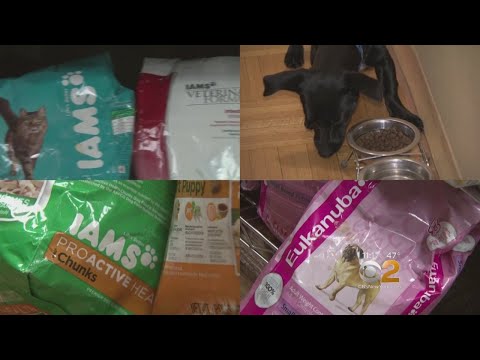 Popular Pet Foods Could Prove Harmful For Your Furry Friend