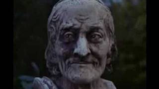 Shy Guys - Black lightening light