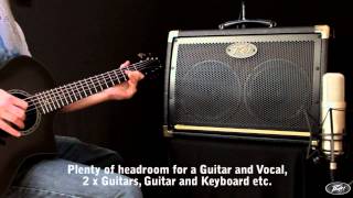 Ecoustic 208 Acoustic Amp Combo, зображення 1