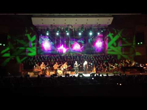 Daria Hodnik-While my guitar gently weeps( The Beatles Revival Band)