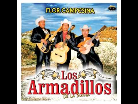 Elenita - Los Armadillos De La Sierra