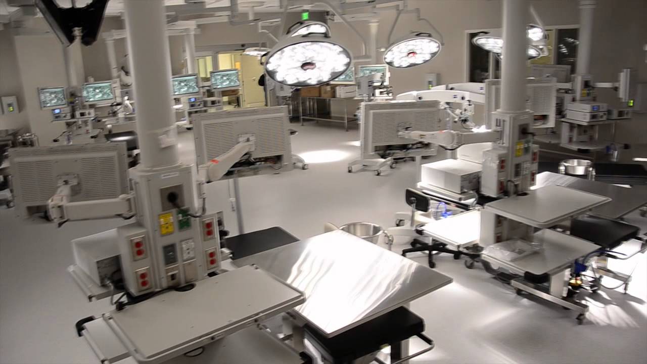 Starting a revolution: CAMLS opens in downtown Tampa