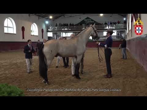 231021 2 Opaco - Aprovação de Reprodutores