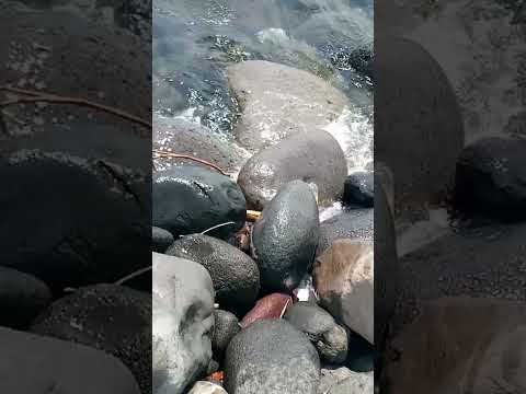 @@##coastalroad ligo time ##