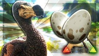ARK: Survival Evolved Server - THE DODO EGG FARM! #57