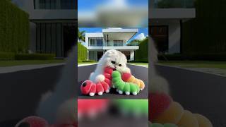 Download lagu kucing lucu makan gummy ulat katak laba2 warna warni #catcute #funny #shorts mp3