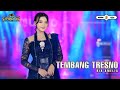 RIA AMELIA TEMBANG TRESNO SIMPATIK MUSIC