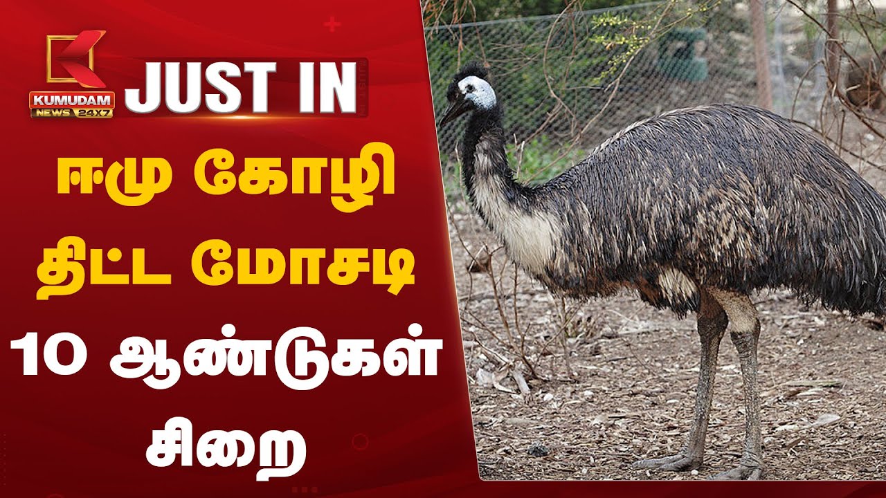 ஈமு கோழி திட்ட மோசடி - 10 ஆண்டுகள் சிறை