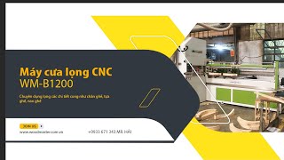 Máy cưa lọng tự động chân ghế Woodmaster